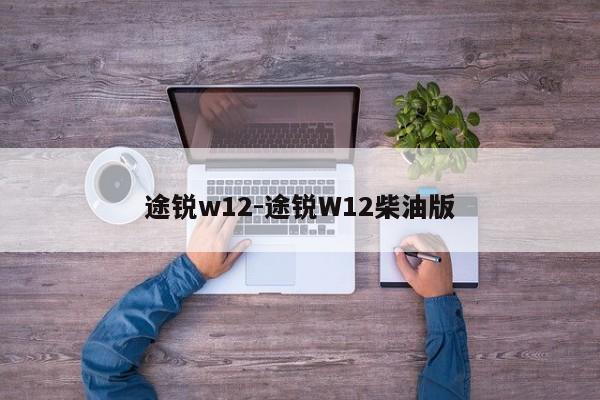 途锐w12-途锐W12柴油版