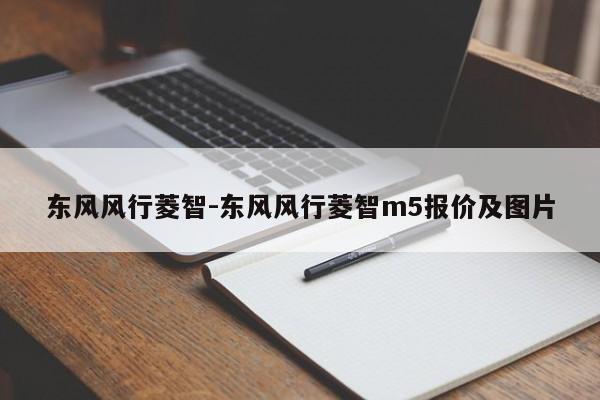 东风风行菱智-东风风行菱智m5报价及图片