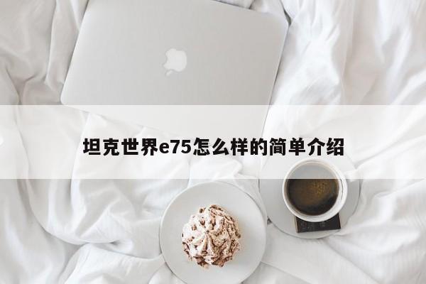 坦克世界e75怎么样的简单介绍