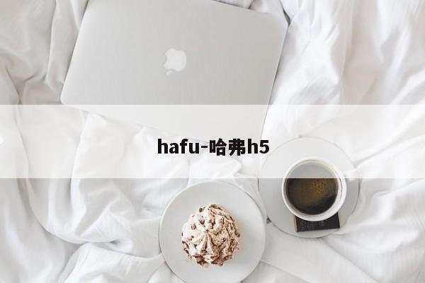 hafu-哈弗h5