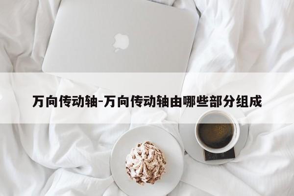 万向传动轴-万向传动轴由哪些部分组成