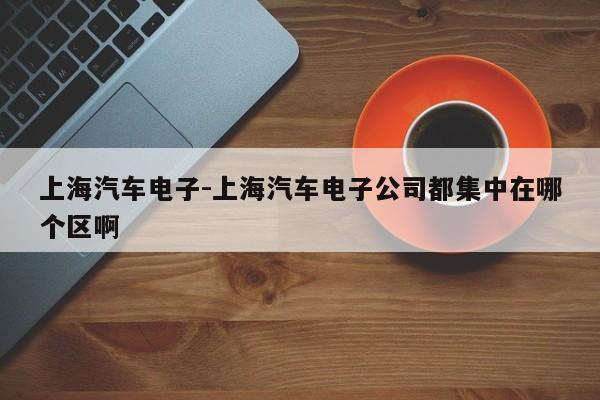 上海汽车电子-上海汽车电子公司都集中在哪个区啊