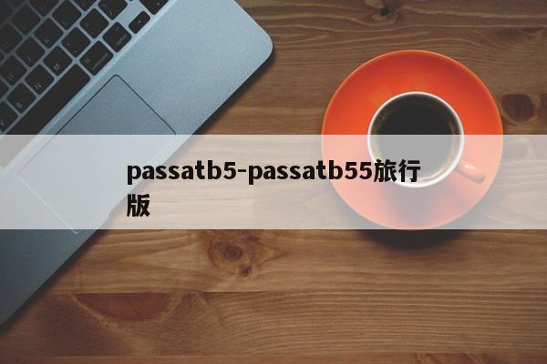 passatb5-passatb55旅行版