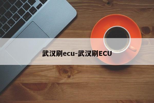 武汉刷ecu-武汉刷ECU