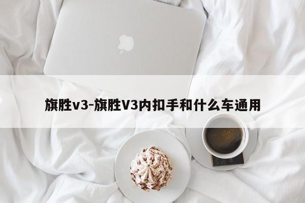 旗胜v3-旗胜V3内扣手和什么车通用