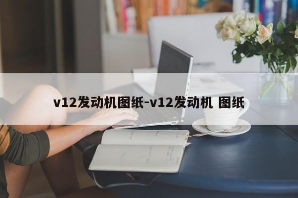 v12发动机图纸-v12发动机 图纸