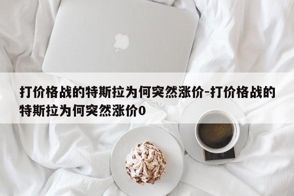 打价格战的特斯拉为何突然涨价-打价格战的特斯拉为何突然涨价0