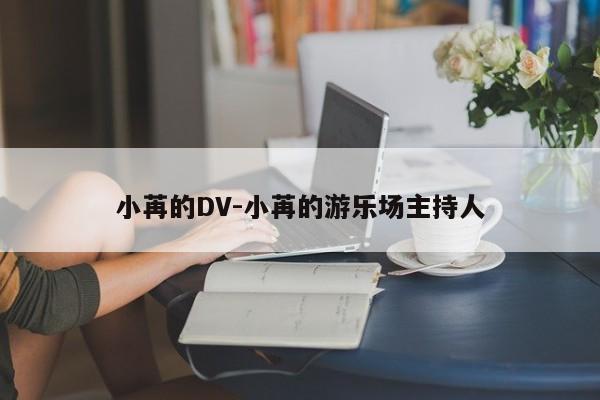小苒的DV-小苒的游乐场主持人