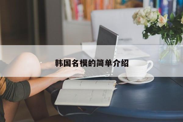 韩国名模的简单介绍