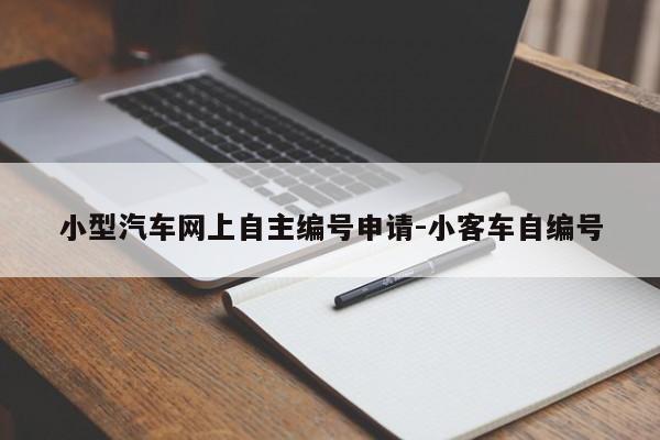 小型汽车网上自主编号申请-小客车自编号