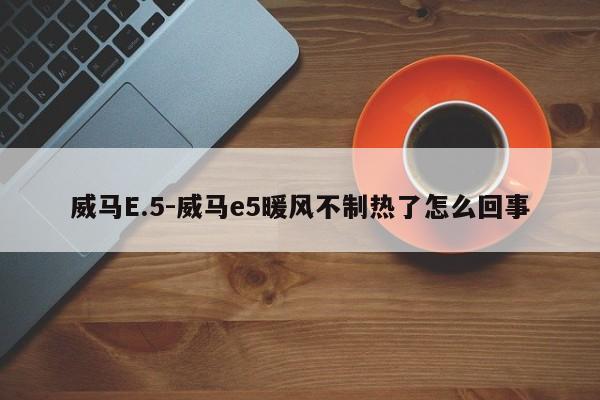 威马E.5-威马e5暖风不制热了怎么回事