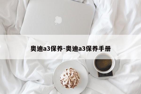 奥迪a3保养-奥迪a3保养手册