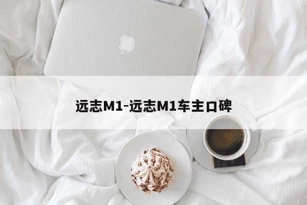 远志M1-远志M1车主口碑