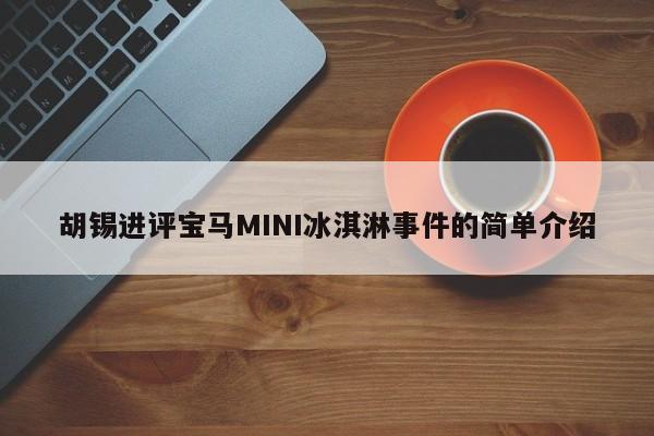 胡锡进评宝马MINI冰淇淋事件的简单介绍