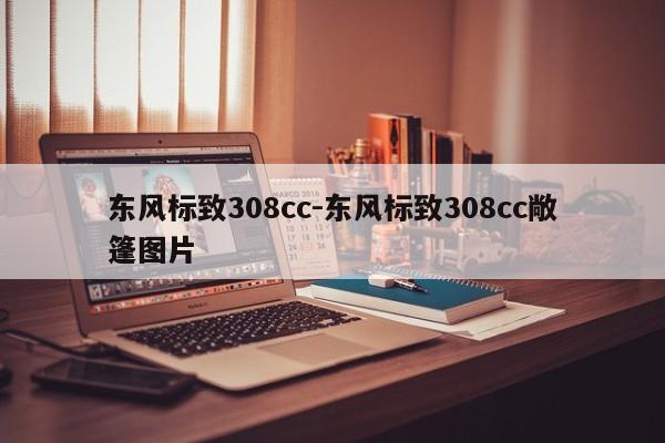 东风标致308cc-东风标致308cc敞篷图片