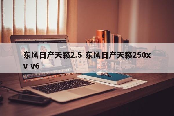 东风日产天籁2.5-东风日产天籁250xv v6