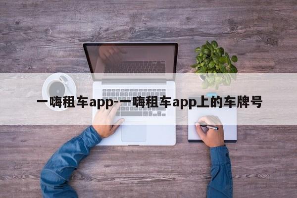 一嗨租车app-一嗨租车app上的车牌号